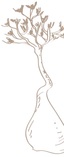 Yemeni tree line art